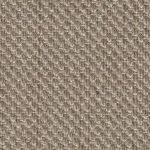 Jute